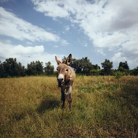 Фермерский дом Su Leunaxiu