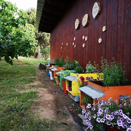 Su Leunaxiu * Solèminis