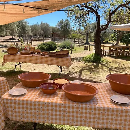 Vakantieboerderij Su Leunaxiu *