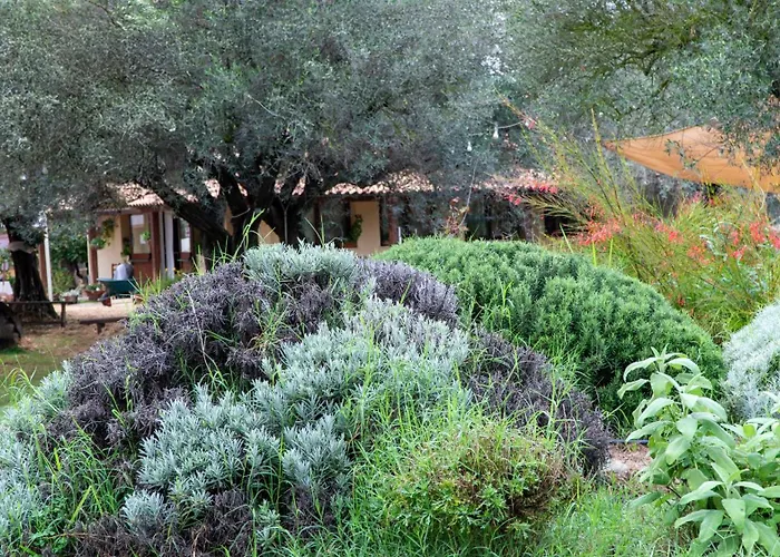 Su Leunaxiu Solèminis