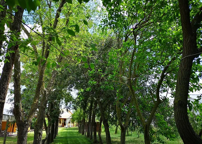 Vakantieboerderij Su Leunaxiu Solèminis