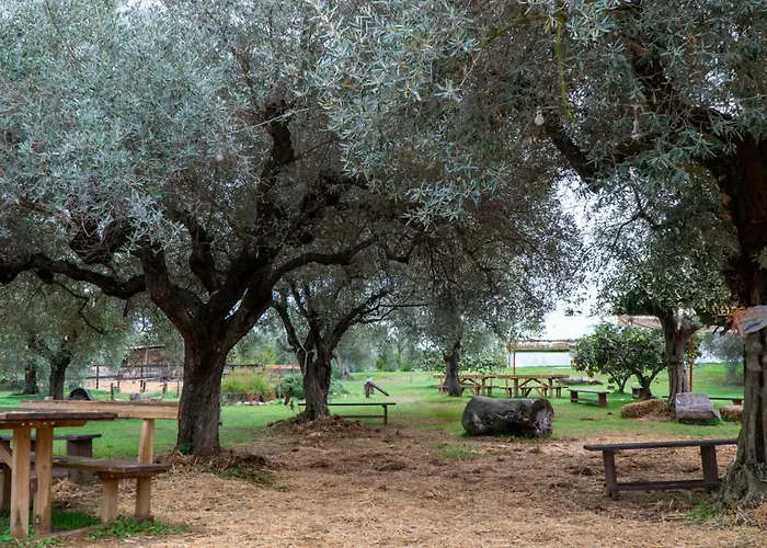 Vakantieboerderij Su Leunaxiu
