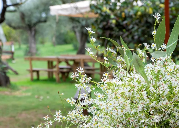 Su Leunaxiu Vakantieboerderij