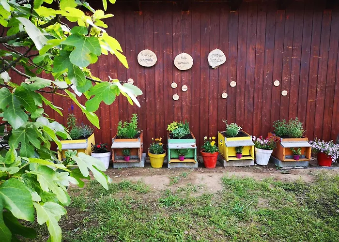 Su Leunaxiu Vakantieboerderij Solèminis