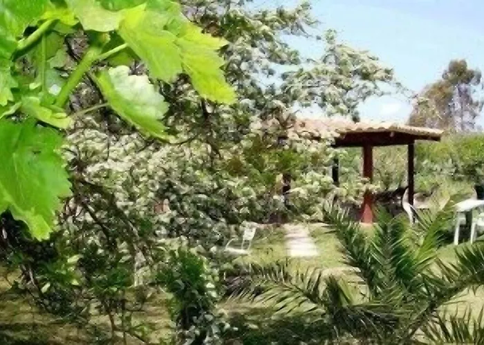 Vakantieboerderij Su Leunaxiu *