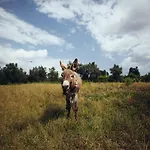 Gospodarstwo agroturystyczne Su Leunaxiu