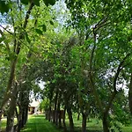Gospodarstwo agroturystyczne Su Leunaxiu Solèminis
