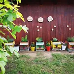 Su Leunaxiu Gospodarstwo agroturystyczne Solèminis