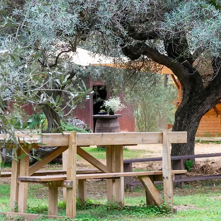 Su Leunaxiu Gospodarstwo agroturystyczne