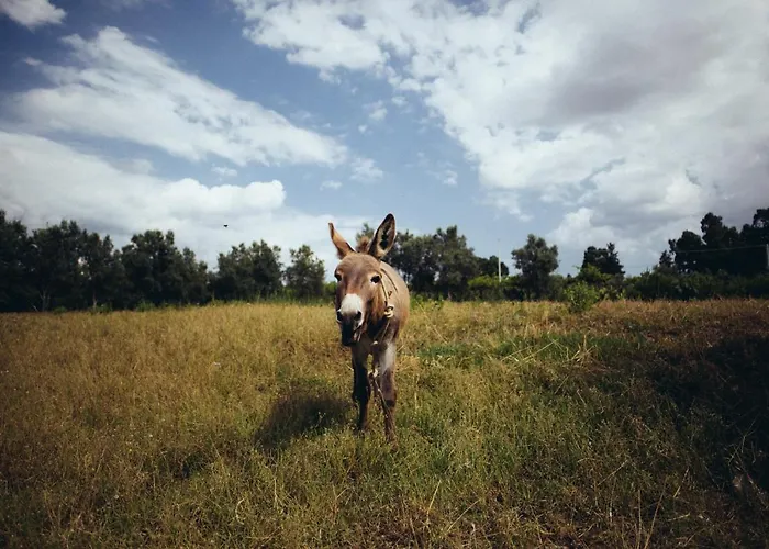 Bauernhof Su Leunaxiu