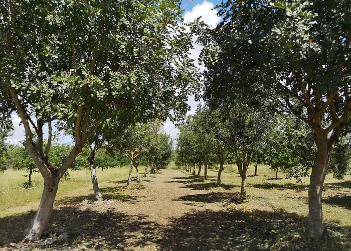 Su Leunaxiu Solèminis