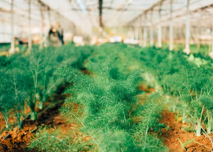 Bauernhof Su Leunaxiu